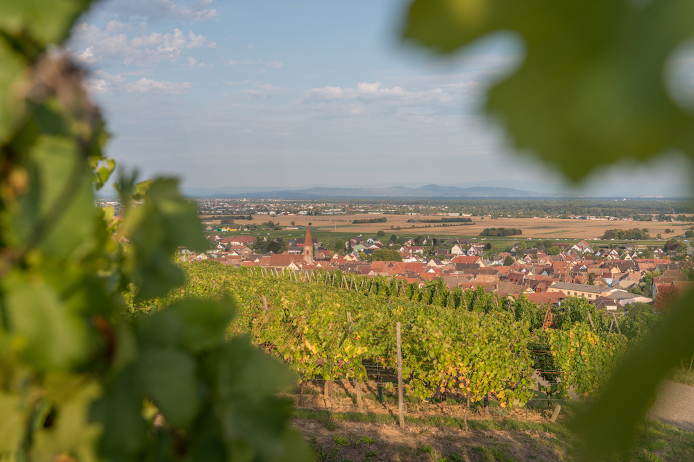 Le Terroir